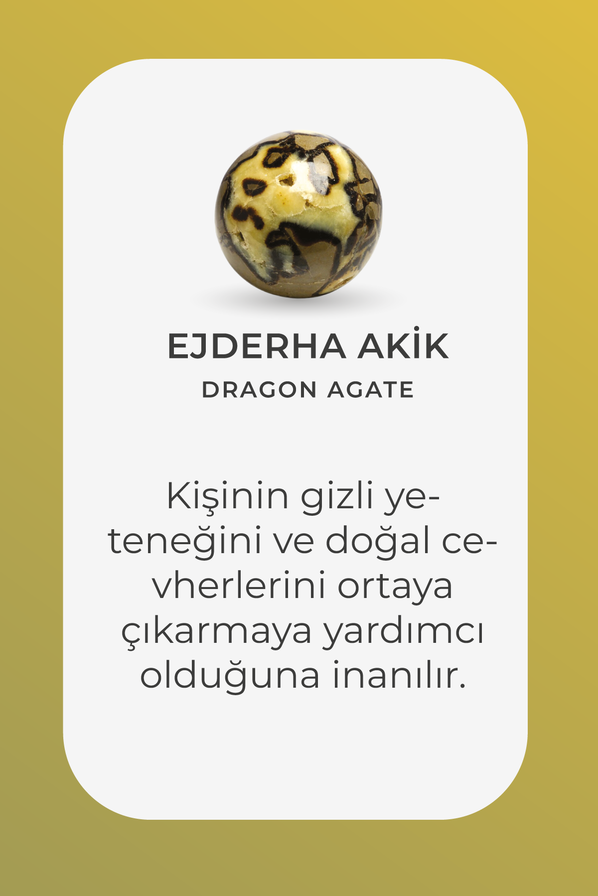 Resim Doğal Ejderha Akiği Taşlı Siyah Rodyum Kaplama Gümüş Lale Figürlü 27 Cm Tesbih