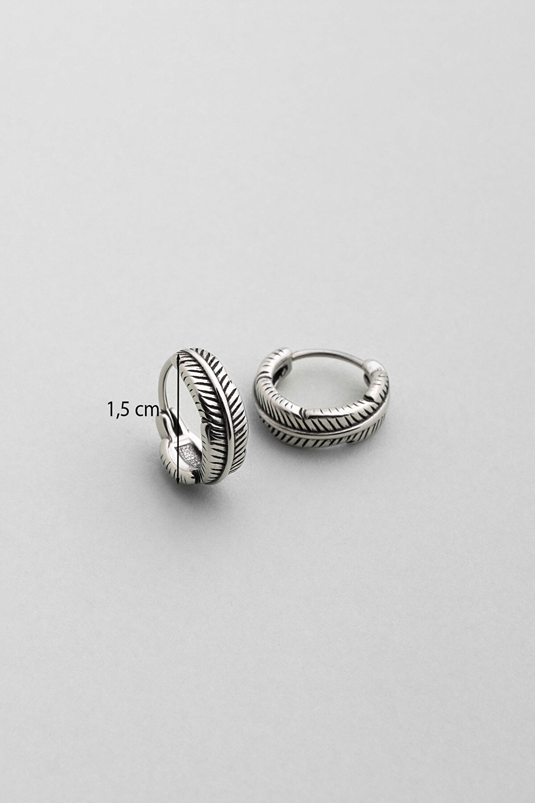 Kartal Tüyü Çelik Erkek Küpe - 2