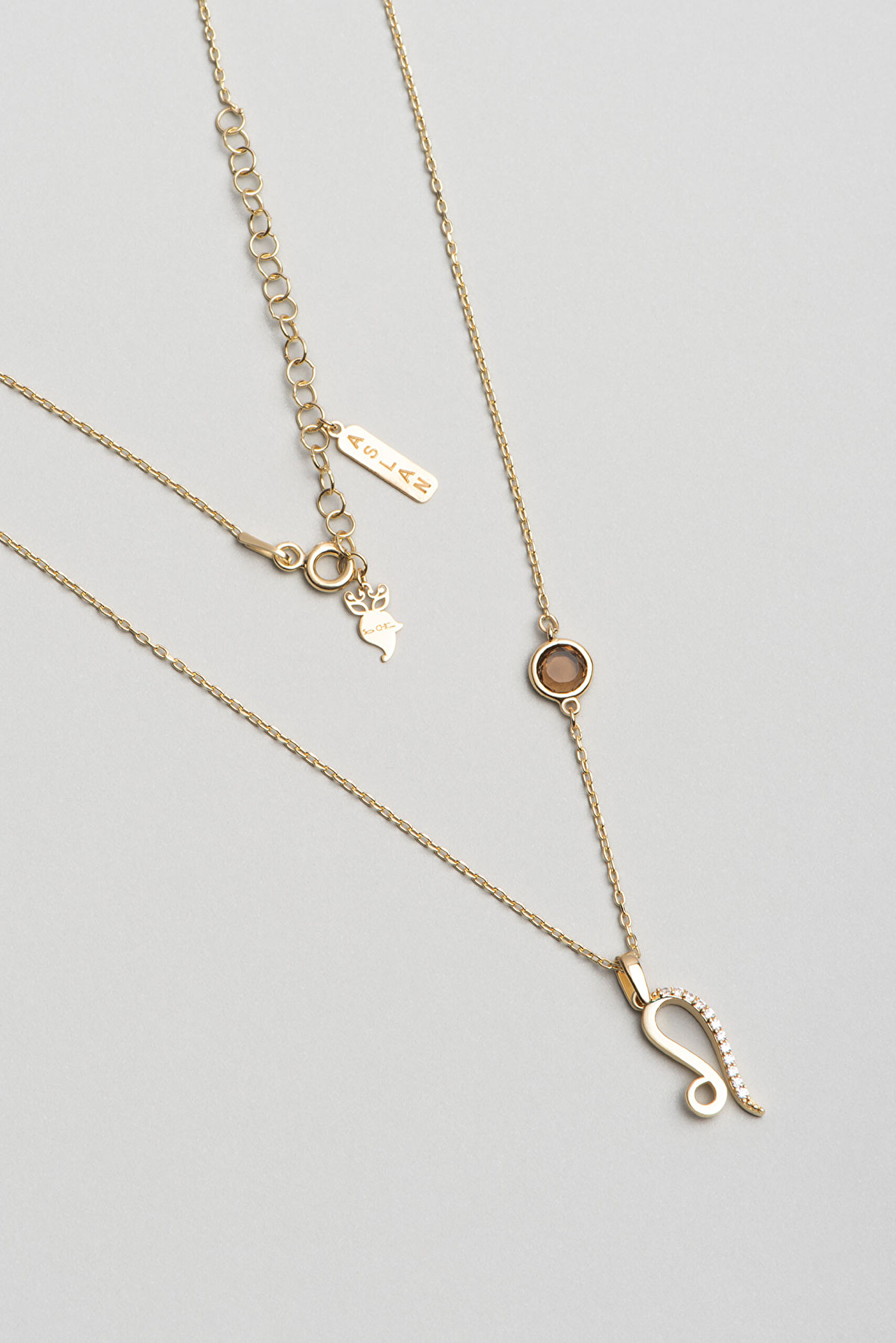 ⁠ Zodyak Koleksiyonu Aslan Burcu 18 Ayar Sarı Altın Kaplama 46 Cm Gümüş Kolye_0}