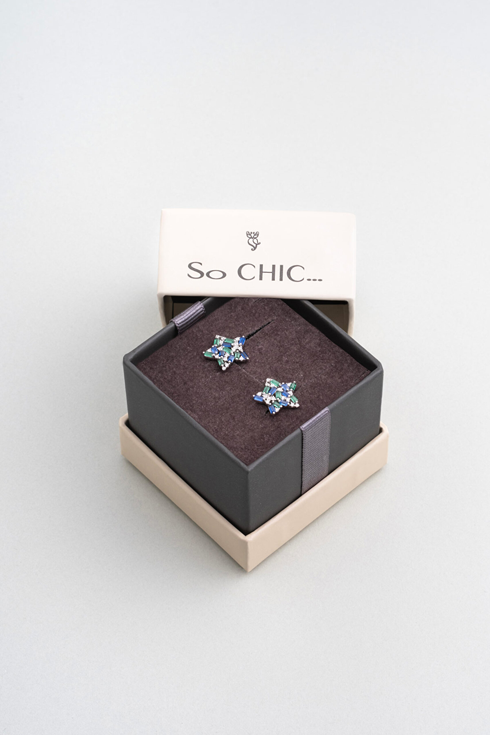 ⁠ Yakamoz Yıldızı 18 Ayar Beyaz Altın Kaplama Gümüş Küpe_4}