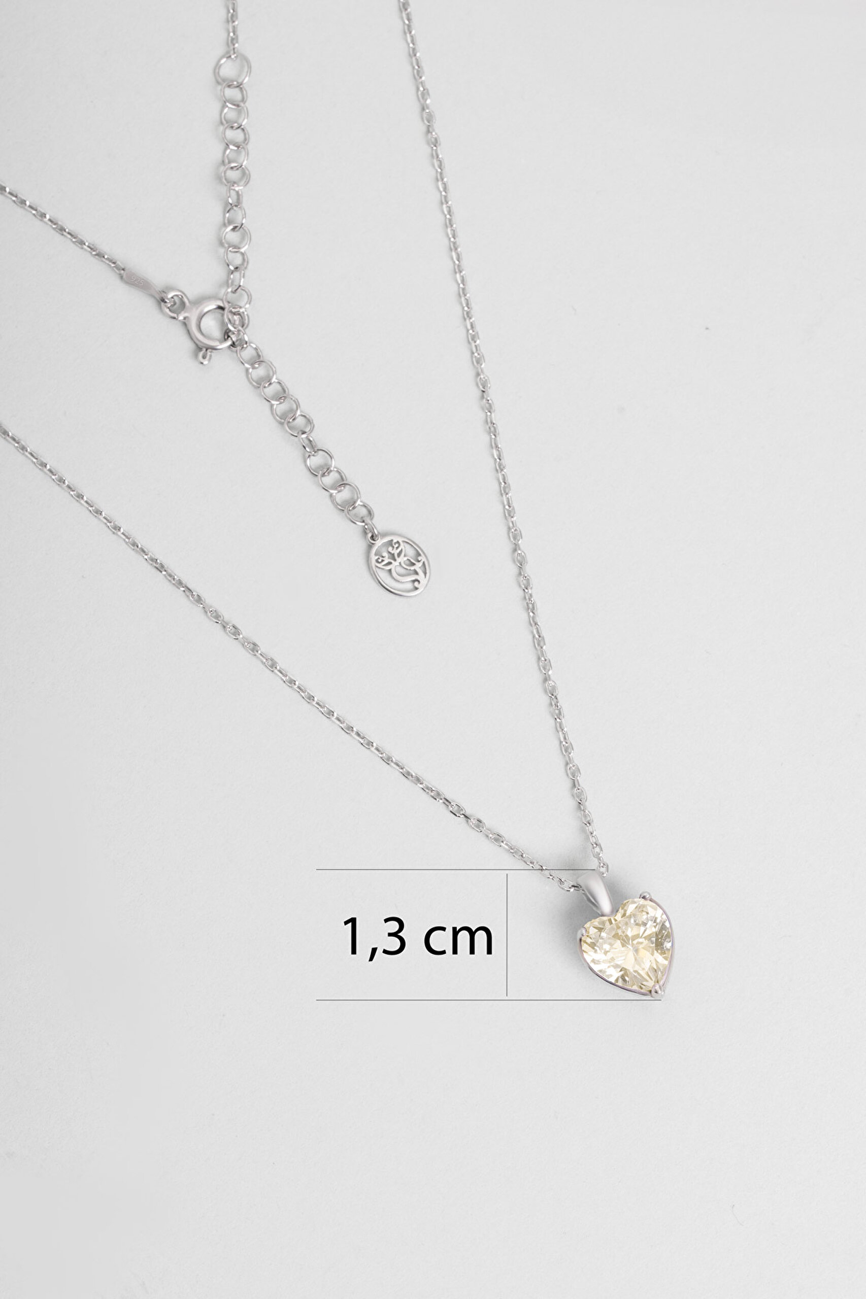 ⁠ Gizemli Kalp 18 Ayar Beyaz Altın Kaplama 45 Cm Gümüş Kolye_2}