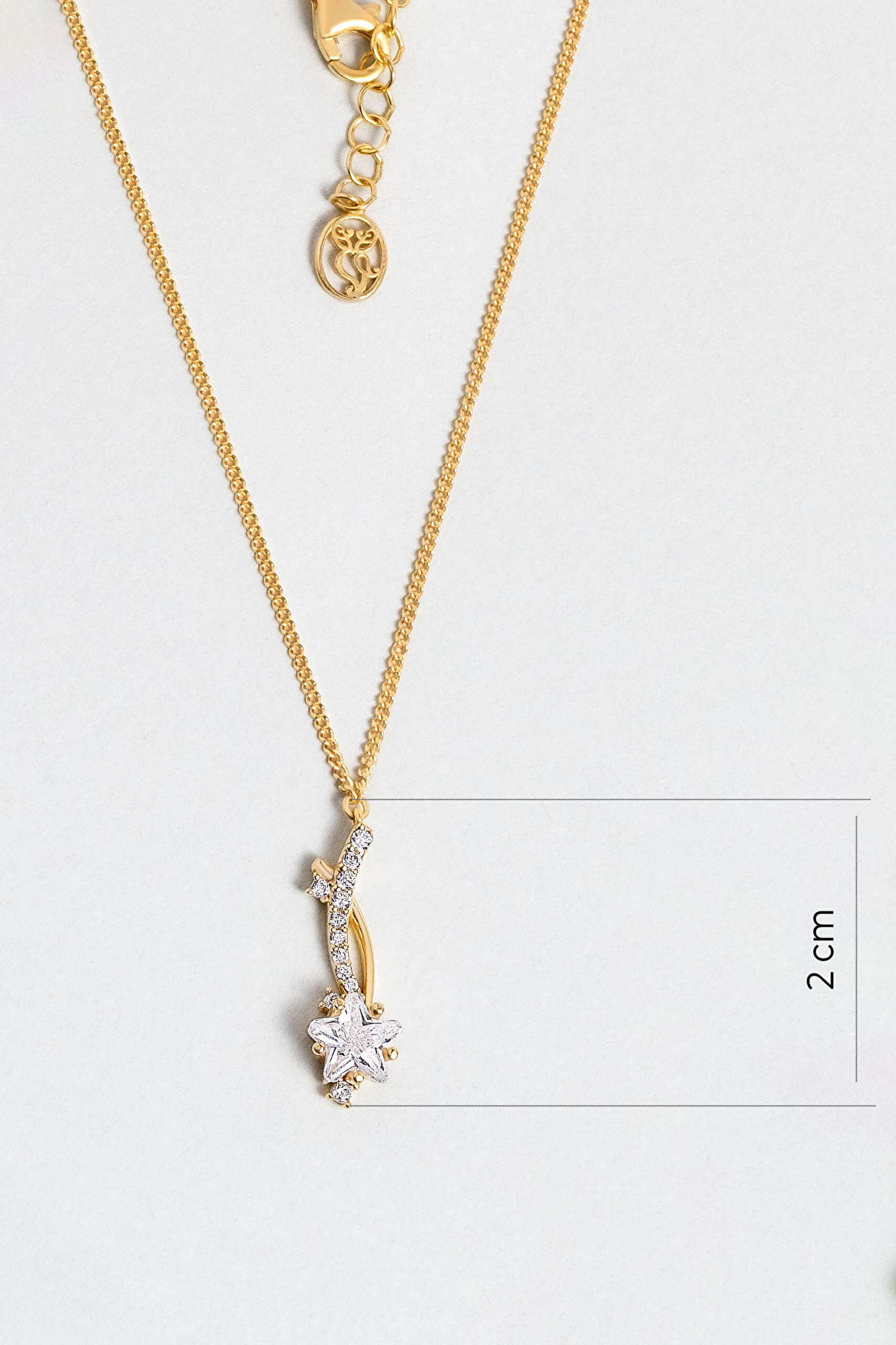 ⁠ Şans Yıldızı 18 Ayar Sarı Altın Kaplama Gümüş Kolye_2}