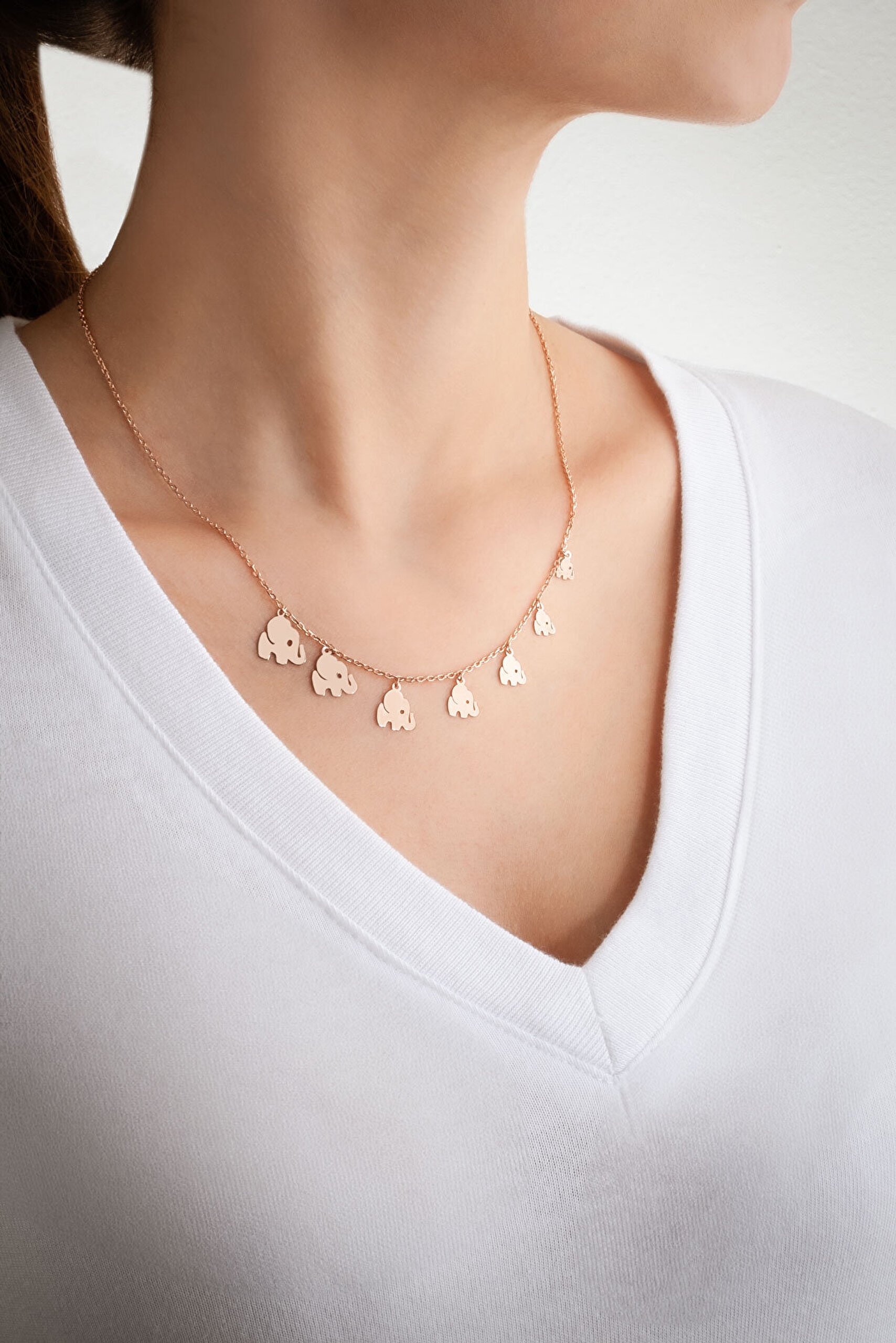 Bereketli Yolculuk 18 Ayar Rose Altın Kaplama 45 Cm Gümüş Kolye - 2