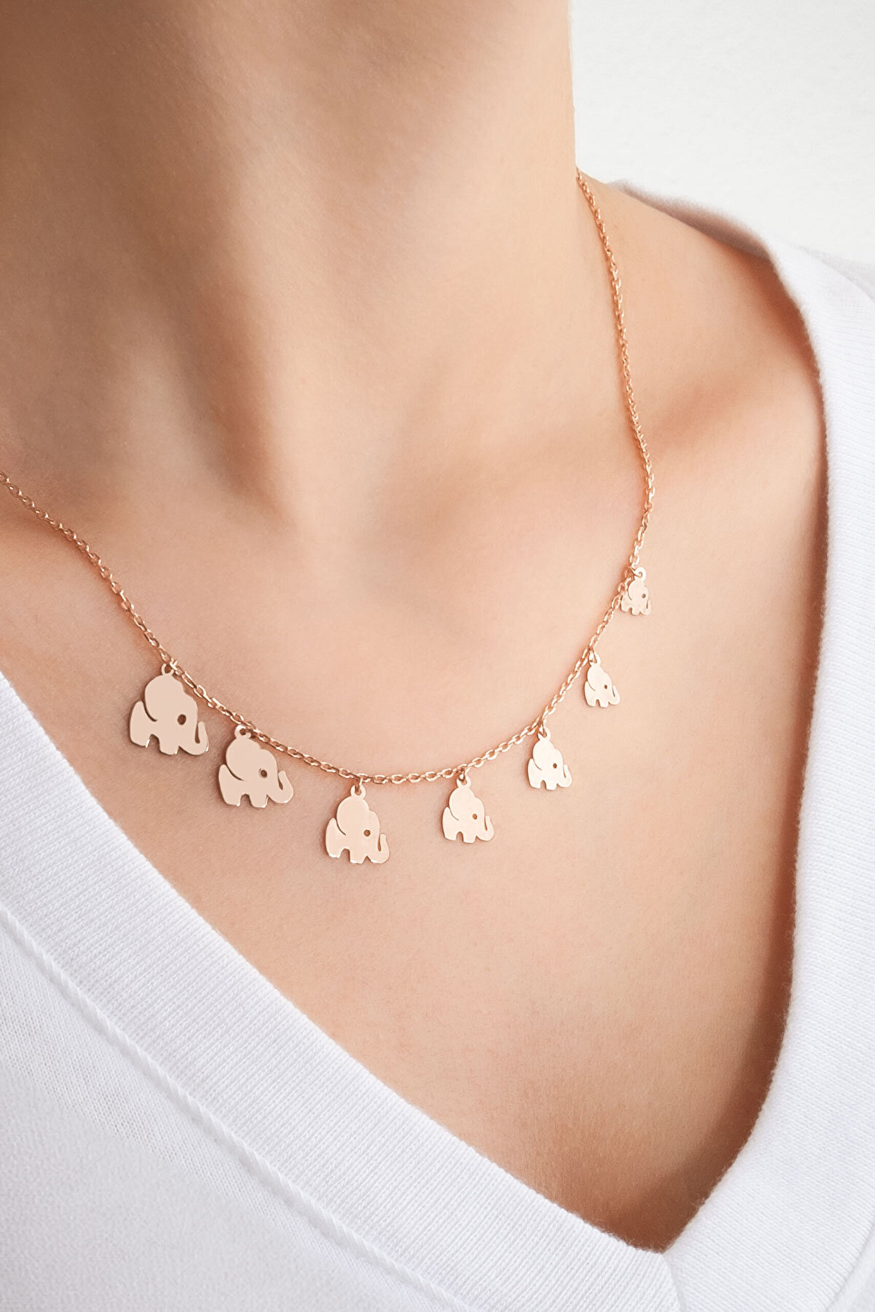 Bereketli Yolculuk 18 Ayar Rose Altın Kaplama 45 Cm Gümüş Kolye - 1