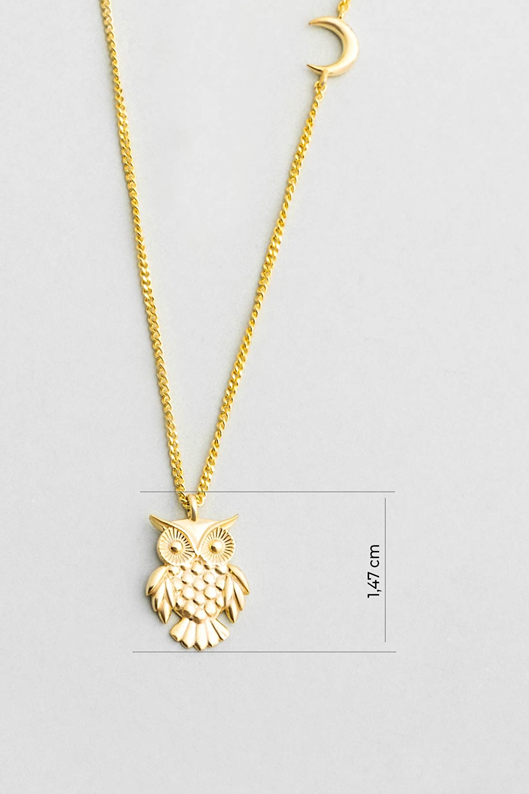 ⁠ Little Owl 18 Ayar Sarı Altın Kaplama 45 Cm Gümüş Kolye_2}