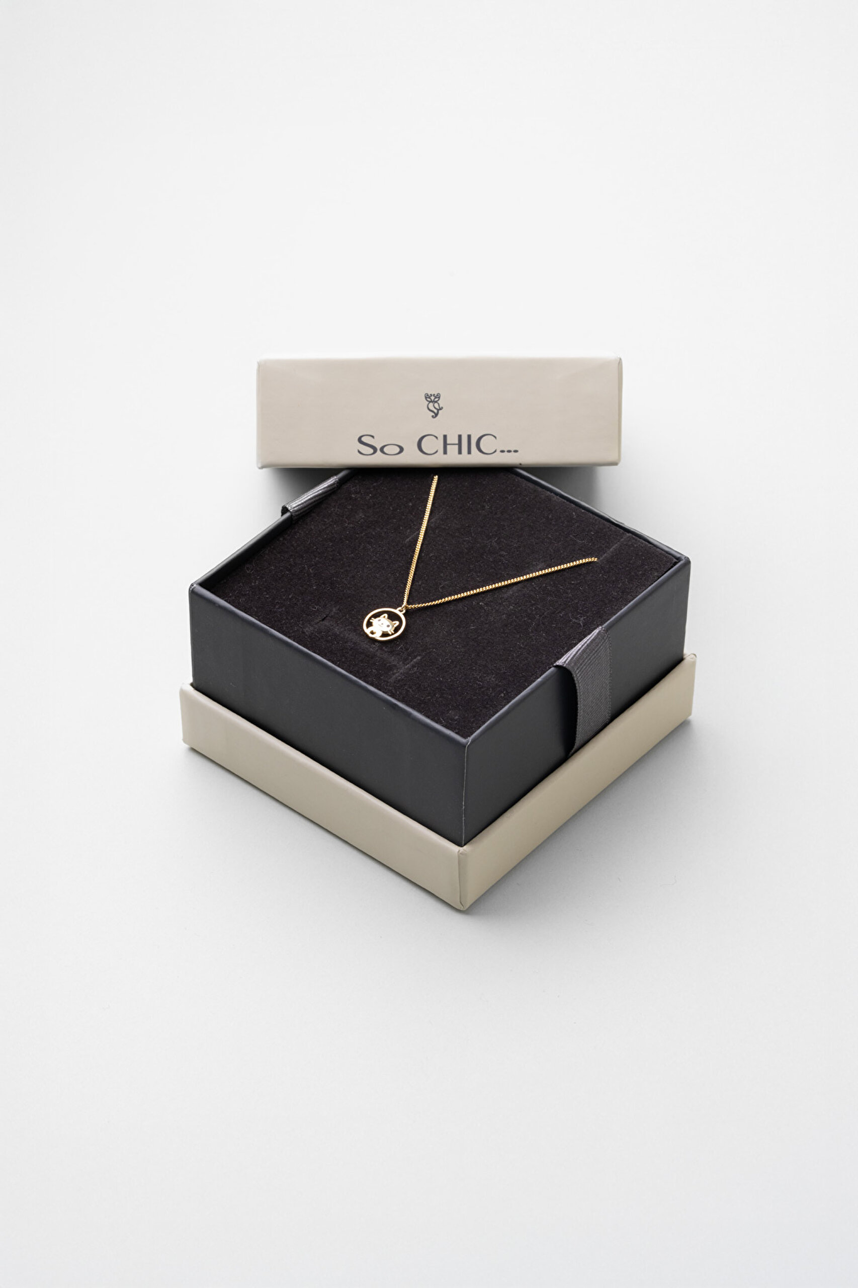 ⁠ Little Paw 18 Ayar Sarı Altın Kaplama 43 Cm Gümüş Kolye_3}