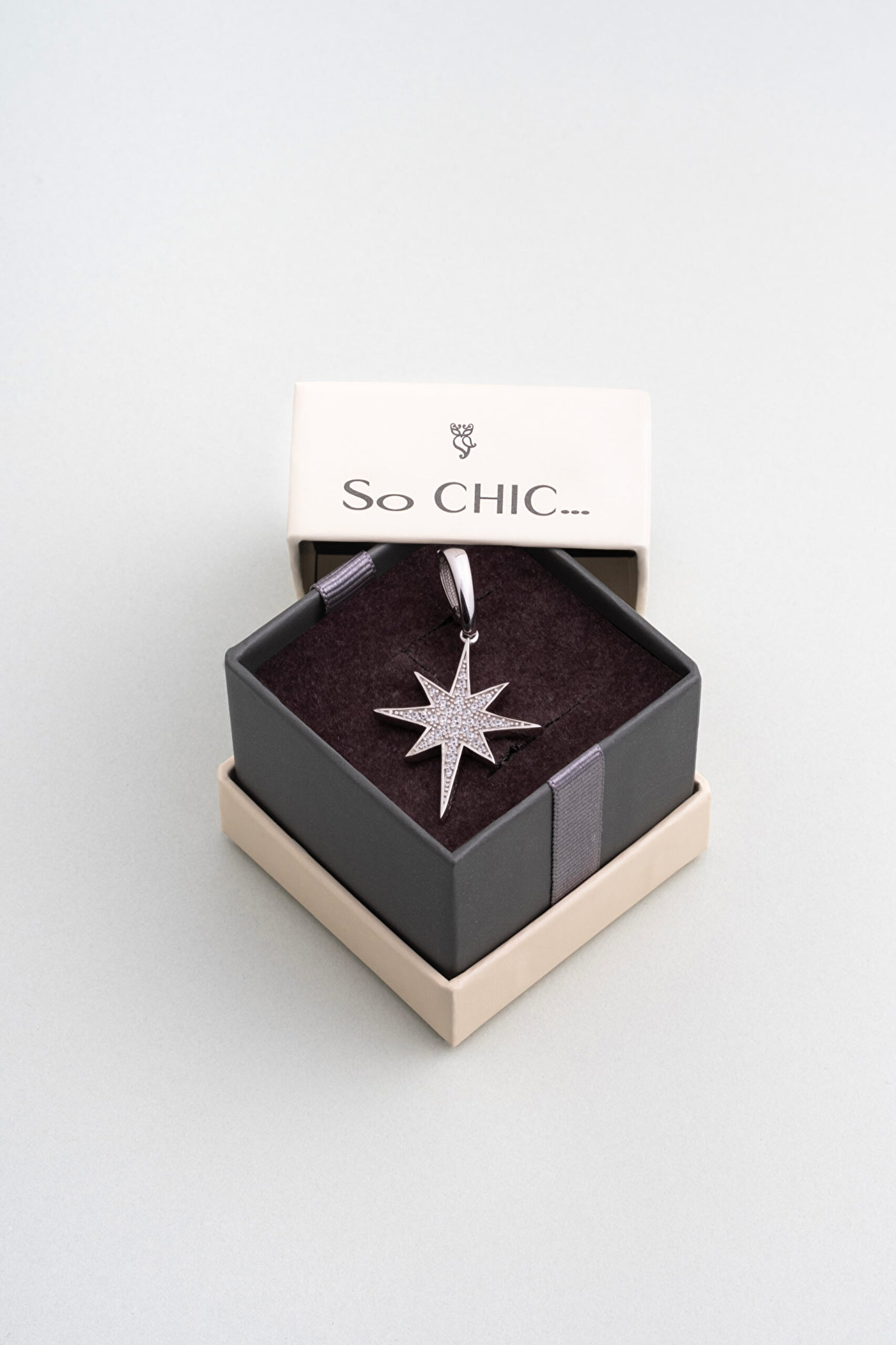 ⁠ Kuzey Yıldızı 18 Ayar Beyaz Altın Kaplama Gümüş Charm_7}