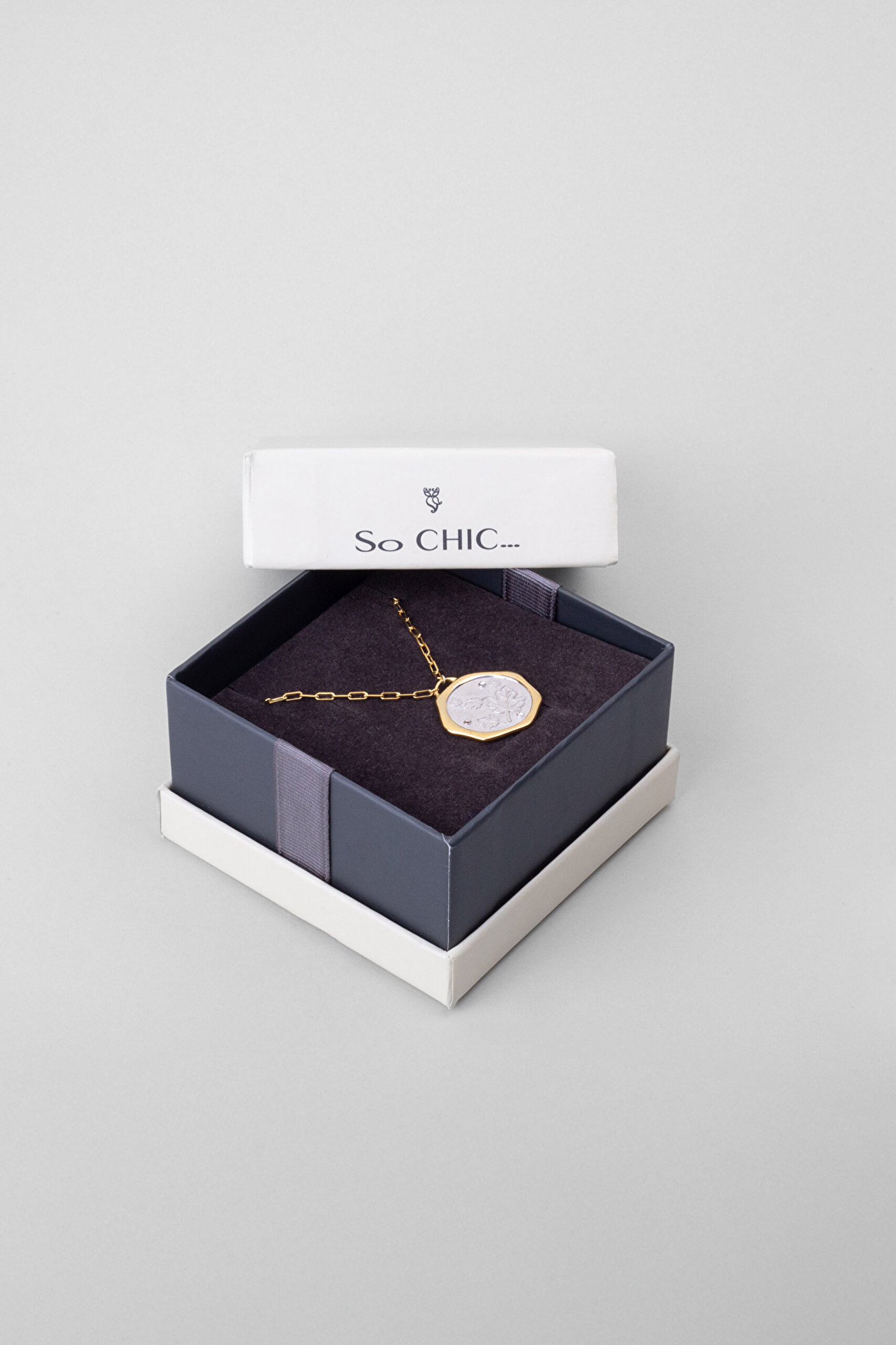 ⁠ Sonbahar Yaprağı 18 Ayar Sarı Ve Beyaz Altın Kaplama 58 Cm Çift Taraflı Gümüş Kolye_7}