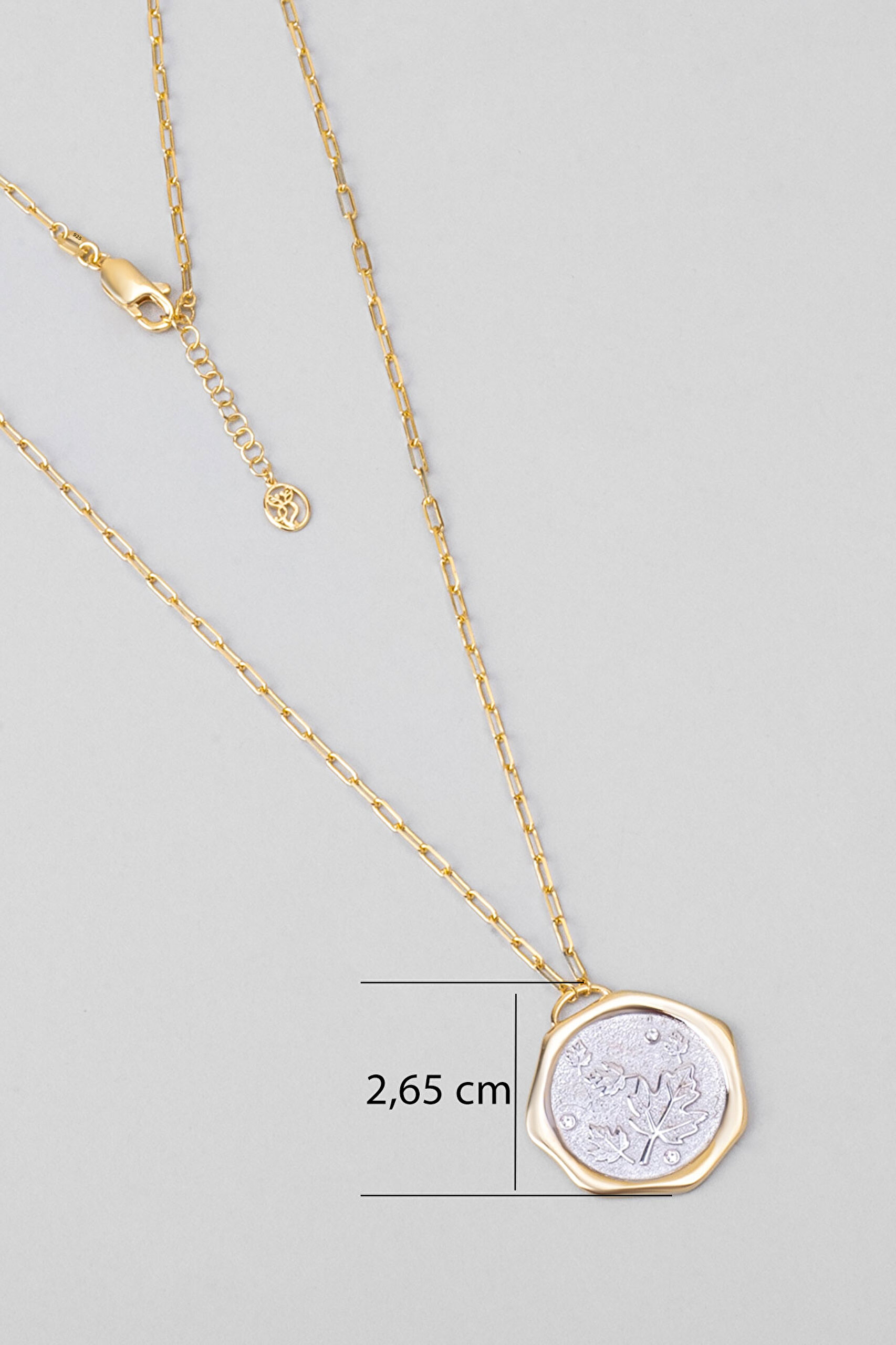 ⁠ Sonbahar Yaprağı 18 Ayar Sarı Ve Beyaz Altın Kaplama 58 Cm Çift Taraflı Gümüş Kolye_2}