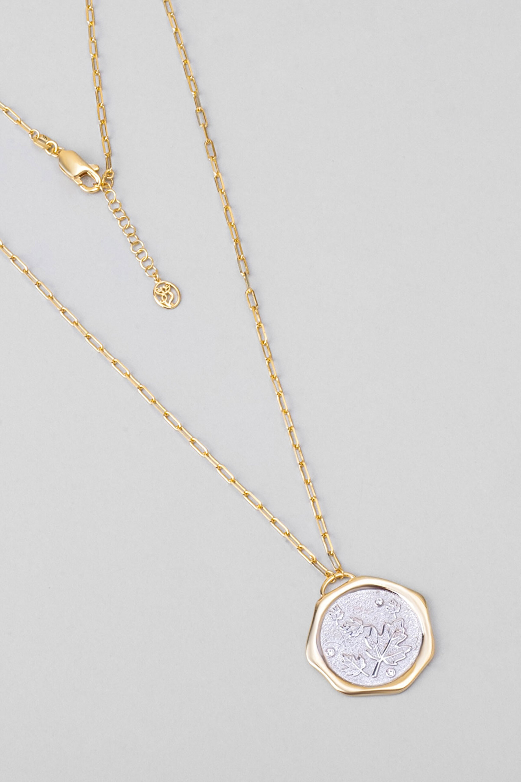 ⁠ Sonbahar Yaprağı 18 Ayar Sarı Ve Beyaz Altın Kaplama 58 Cm Çift Taraflı Gümüş Kolye_0}