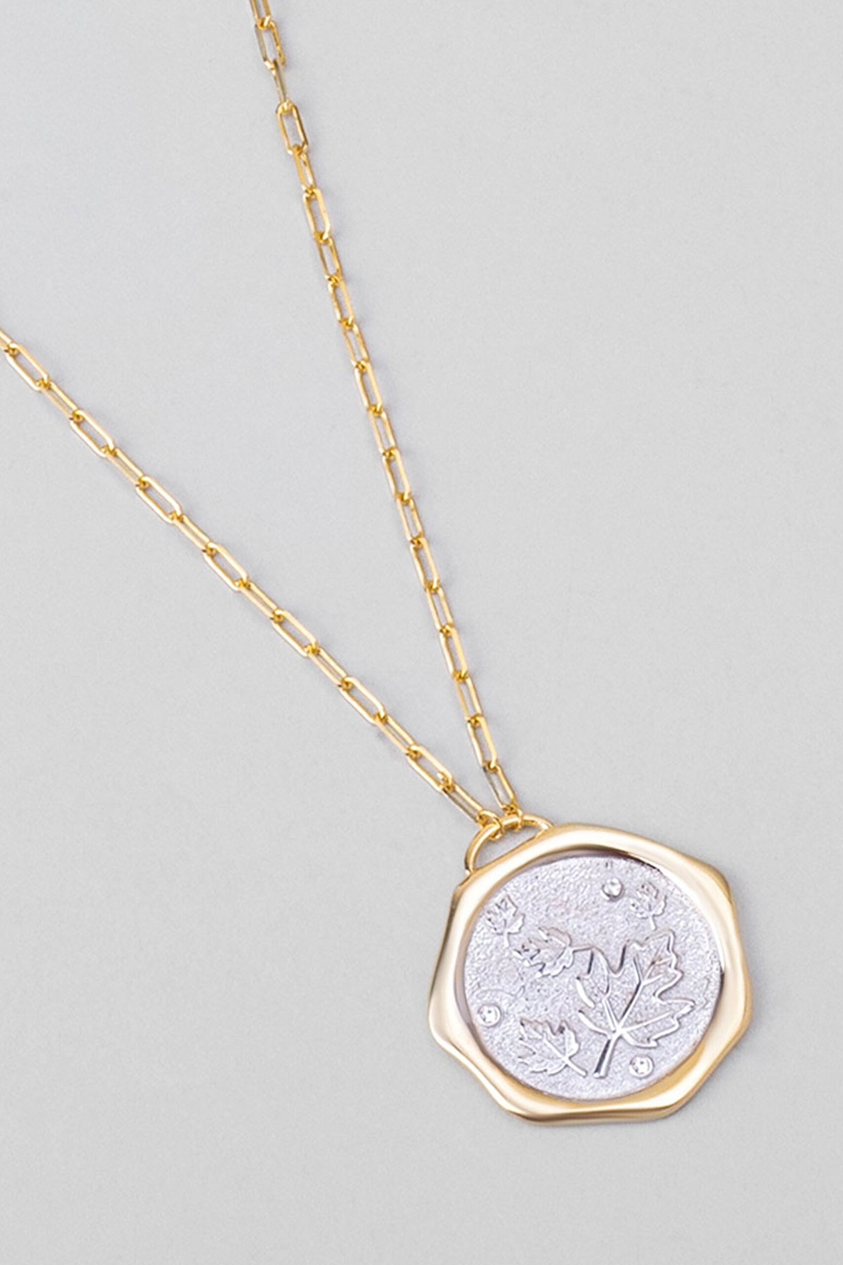 ⁠ Sonbahar Yaprağı 18 Ayar Sarı Ve Beyaz Altın Kaplama 58 Cm Çift Taraflı Gümüş Kolye_5}