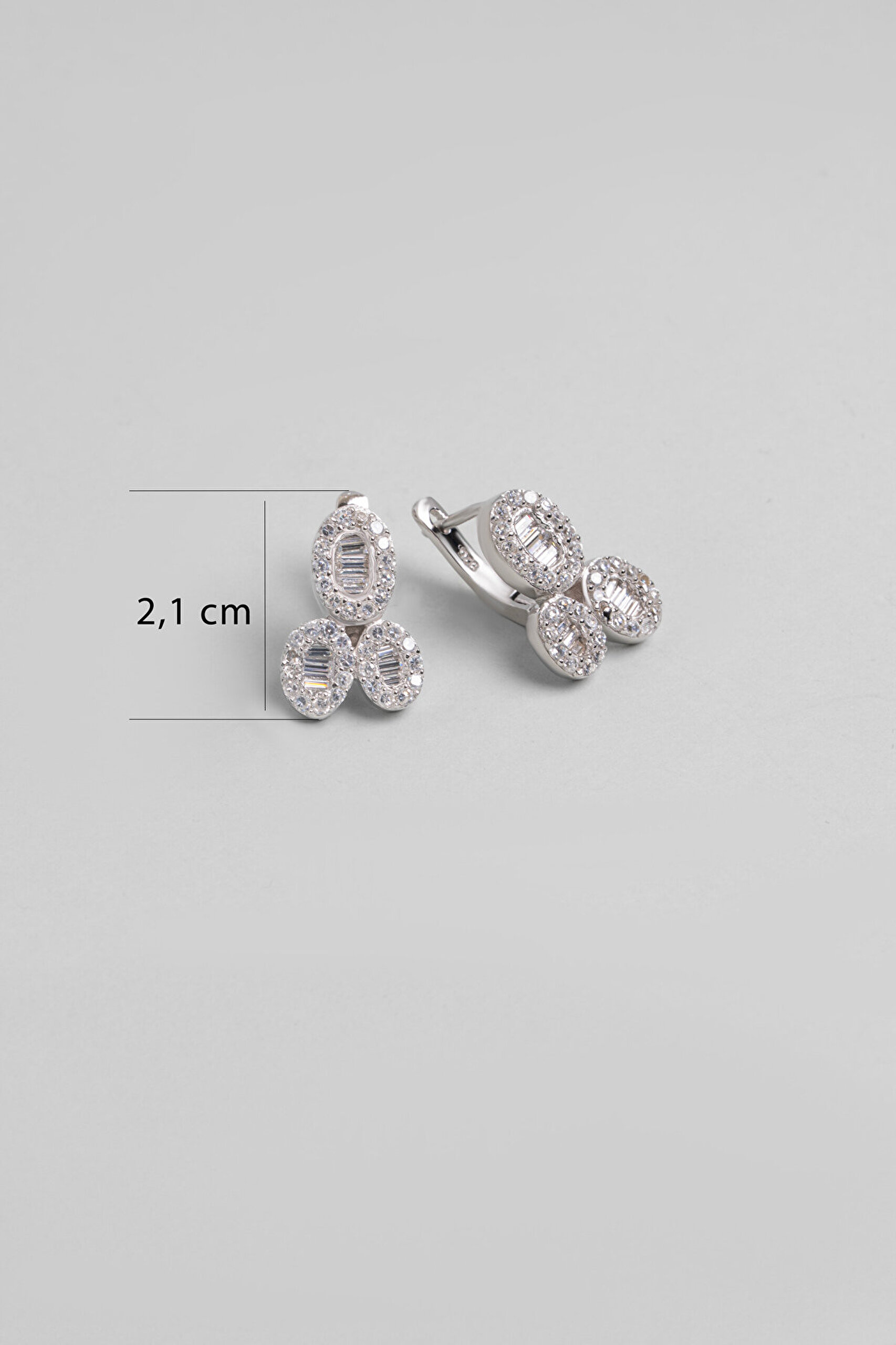 Zaman Döngüsü 18 Ayar Beyaz Altın Kaplama Gümüş Küpe - 1