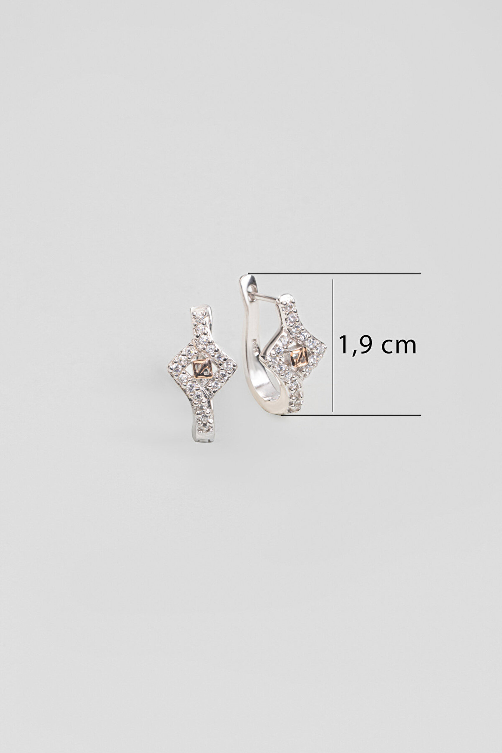 Zamansız Işıltı 18 Ayar Rose ve Beyaz Altın Kaplama Gümüş Küpe - 1