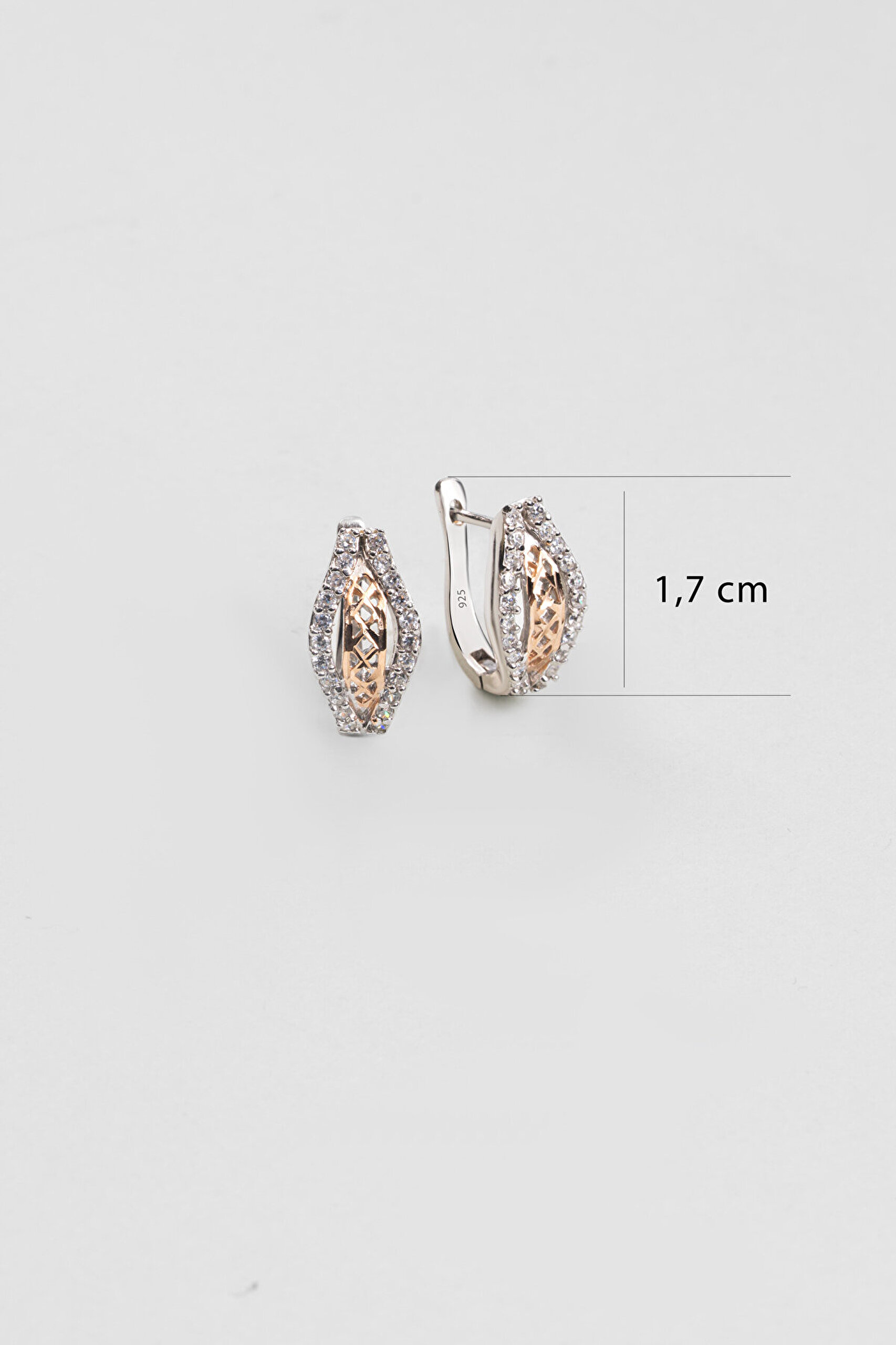 Modern Stil 18 Ayar Rose ve Beyaz Altın Kaplama Gümüş Küpe - 1