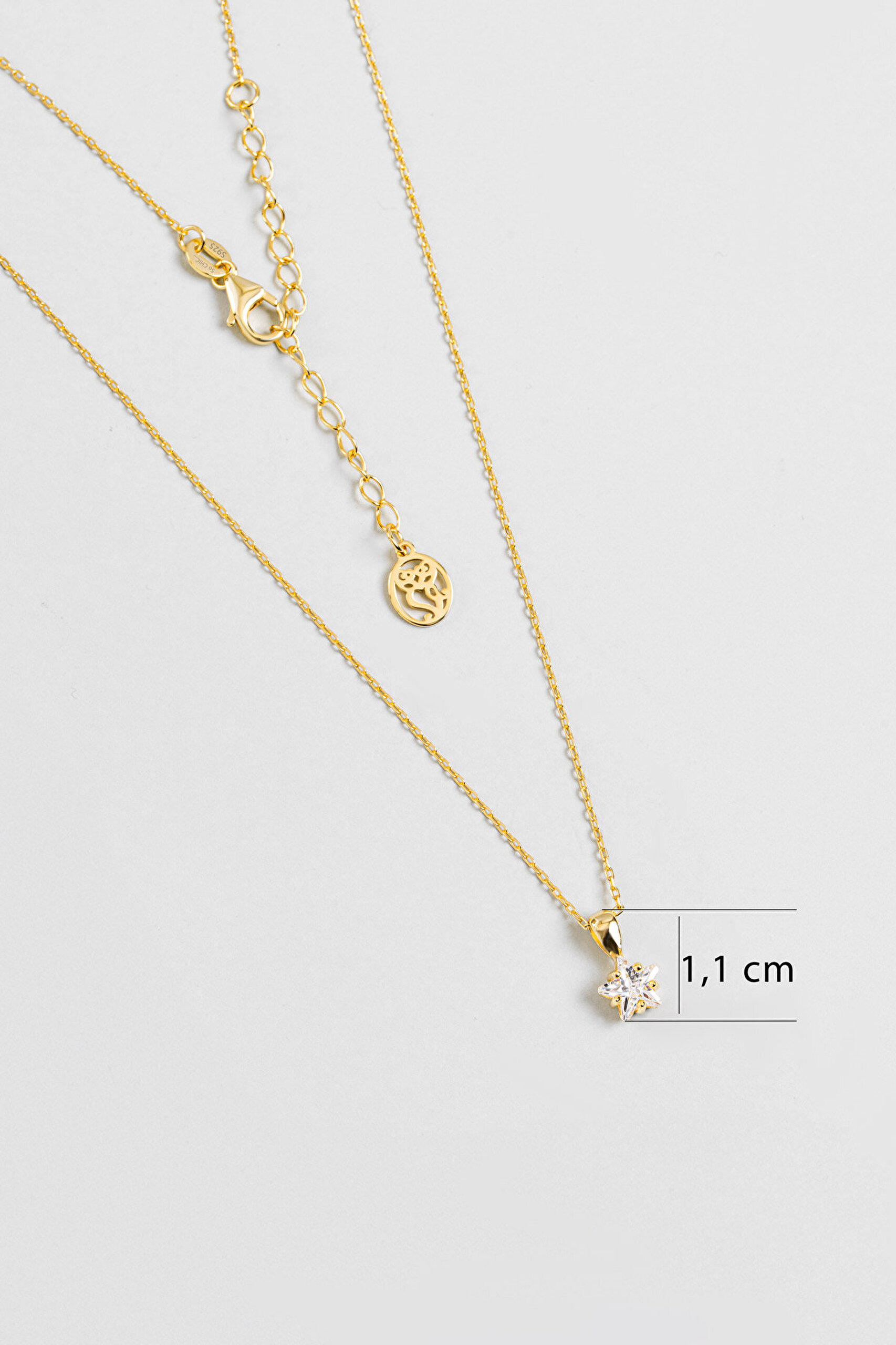 Minimal Yıldız Taşlı 18 Ayar Sarı Altın Kaplama 45 Cm Gümüş Kolye - 2