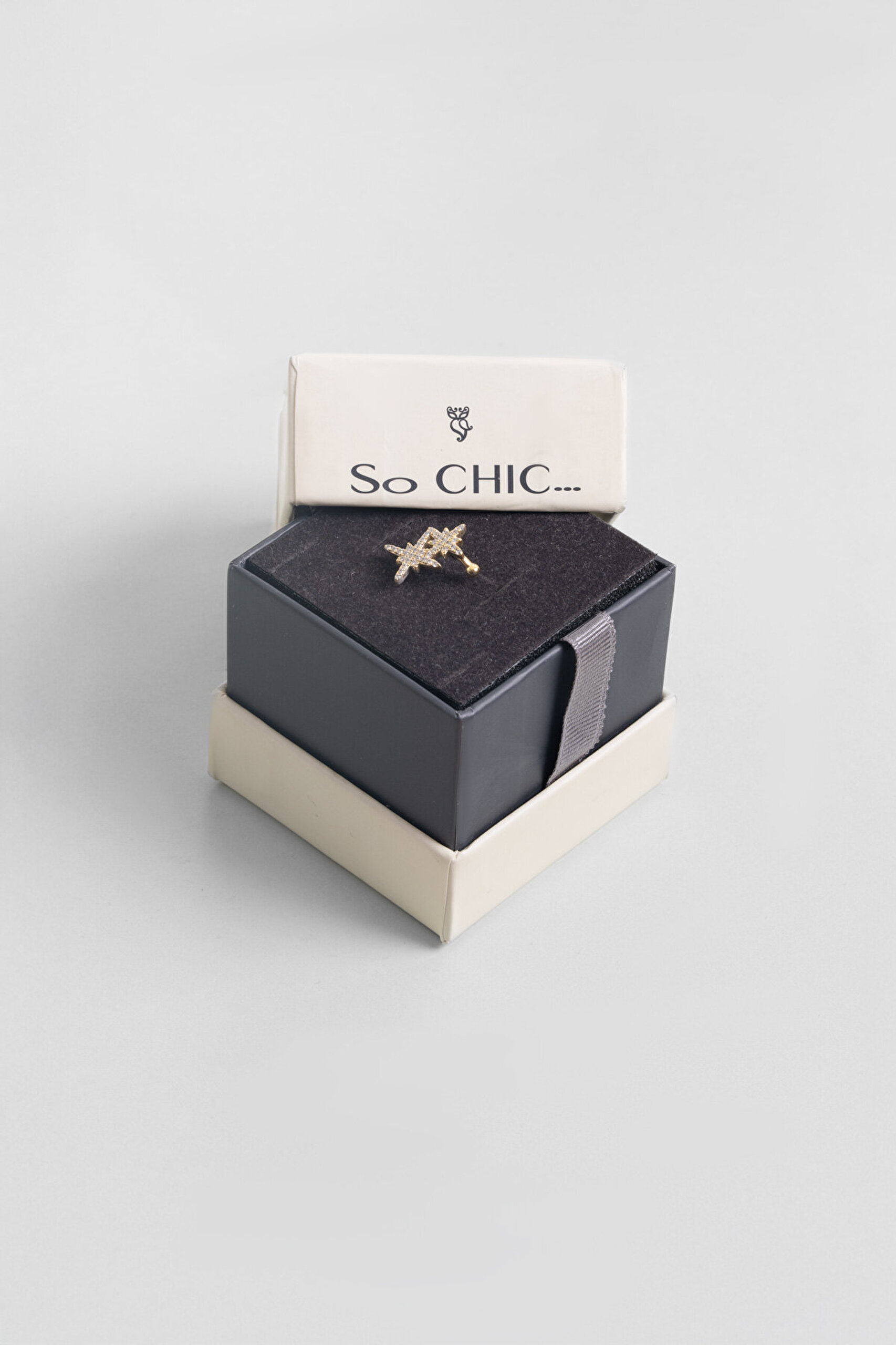 Kuzey Yıldızı 18 Ayar Beyaz Altın Kaplama Gümüş Tek Kıkırdak Küpe - 4