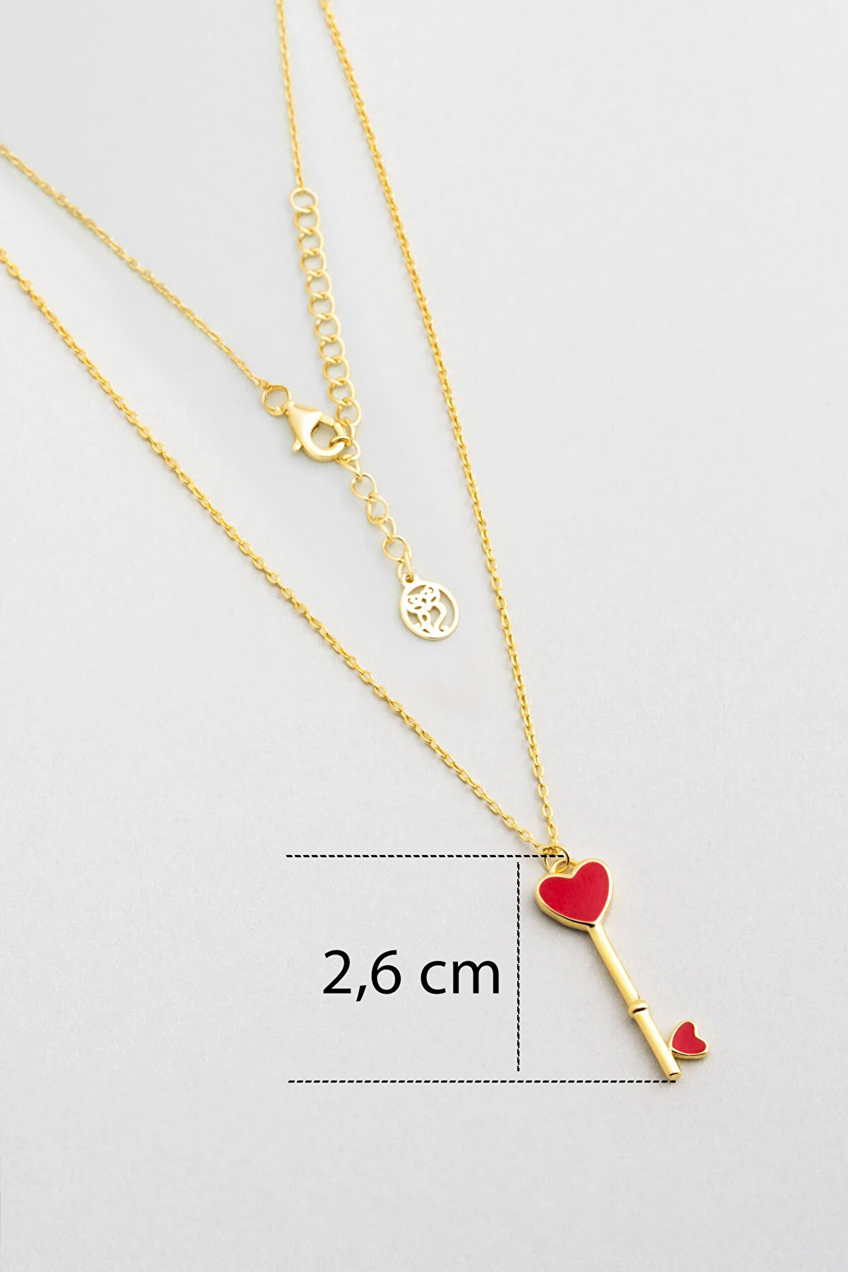 ⁠ Kalp Anahtarı 18 Ayar Sarı Altın Kaplama 45 Cm Gümüş Kolye_2}