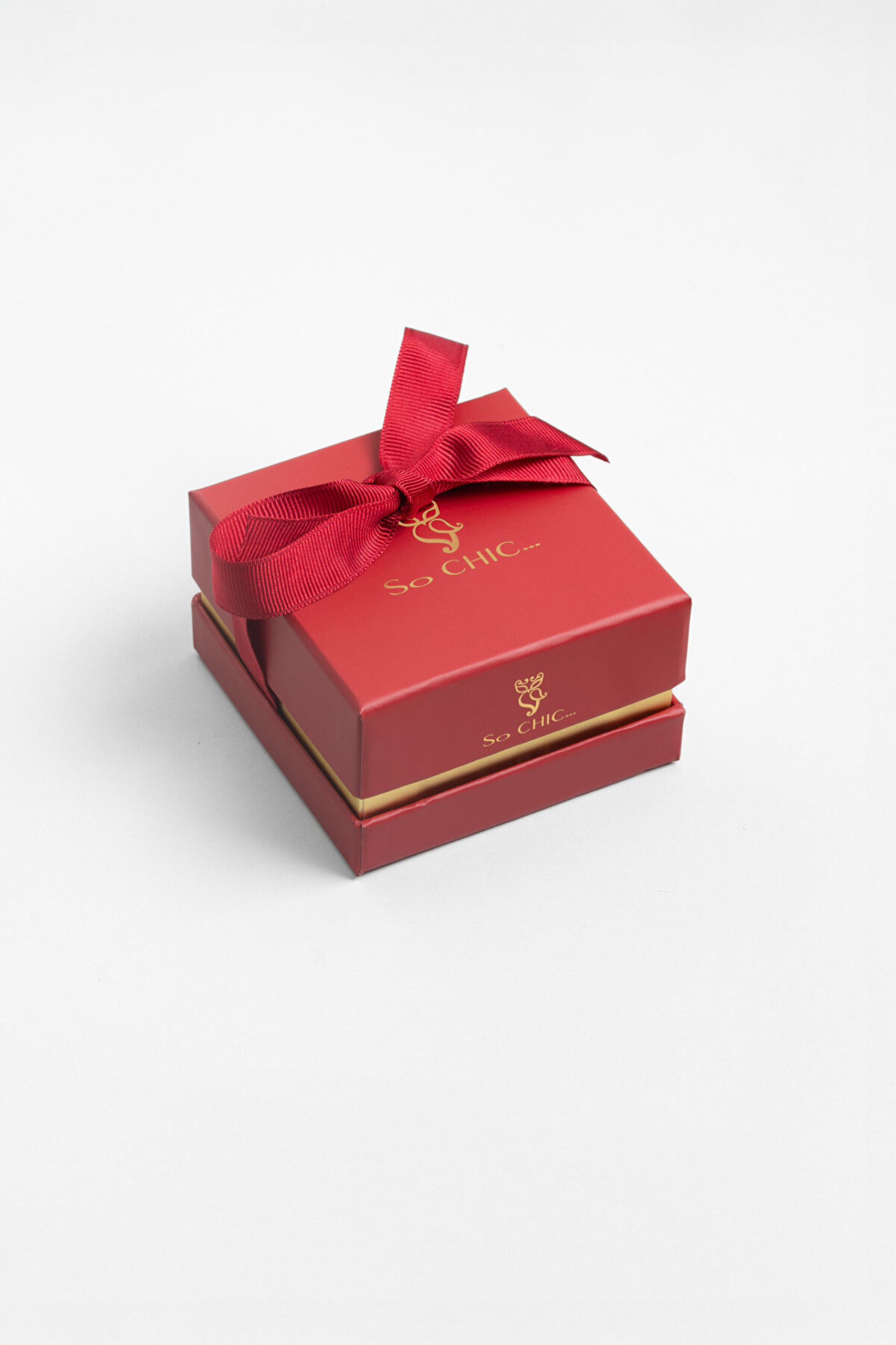 Dilek Anahtarı 18 Ayar Beyaz Altın Kaplama 45 Cm Gümüş Kolye - 6