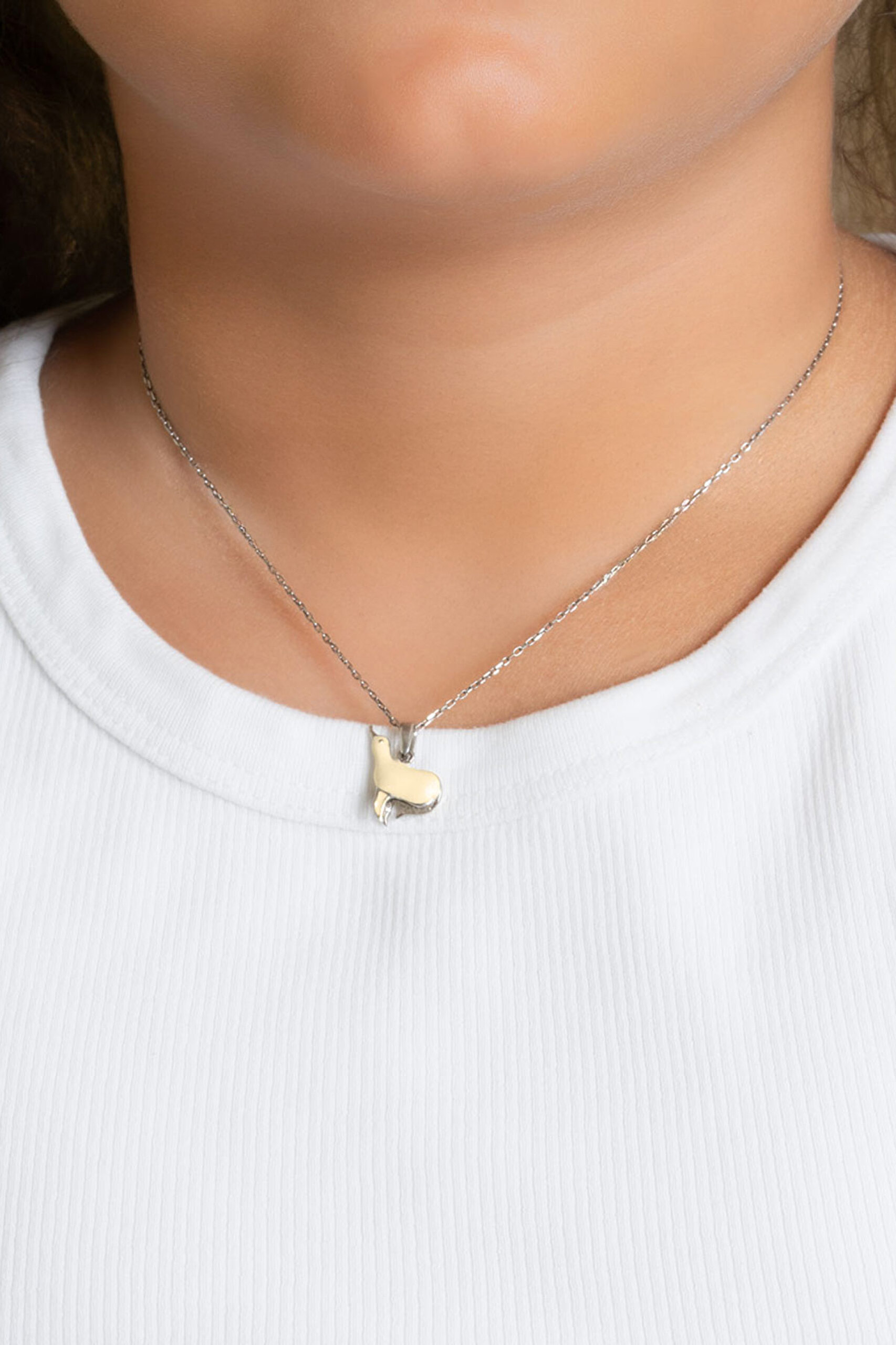 ⁠ Fok Balığı 18 Ayar Beyaz Altın Kaplama 33 Cm Çocuk Kolye_1}