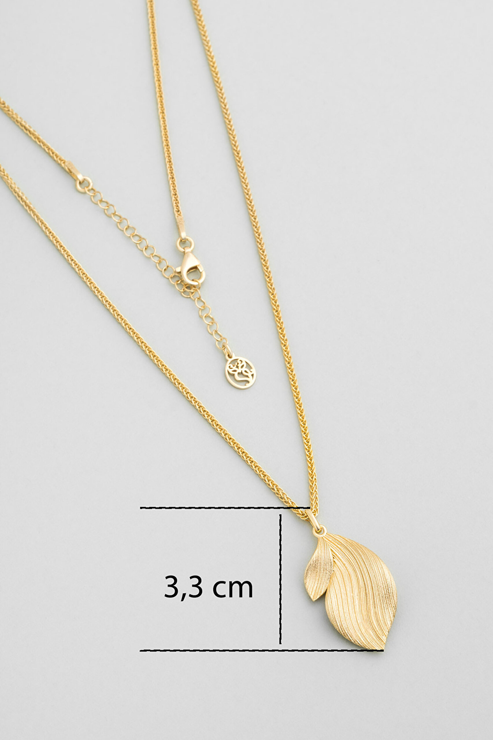 ⁠ Serena Parıltısı 18 Ayar Sarı Altın Kaplama 50 Cm Gümüş Kolye_2}