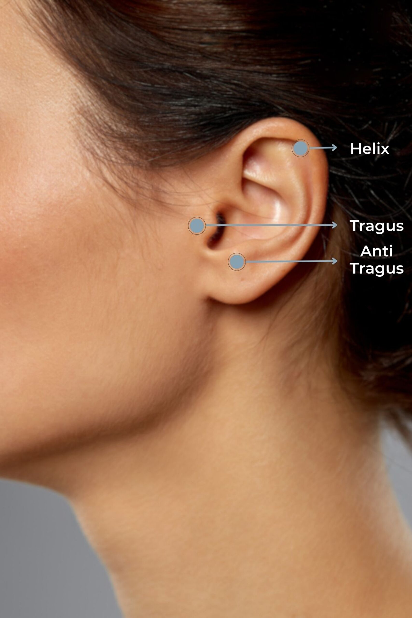 ⁠ Diamond Collection 14 Ayar Sarı Altın 0.01 Karat Pırlanta Fil Figürlü Tragus Piercing_2}