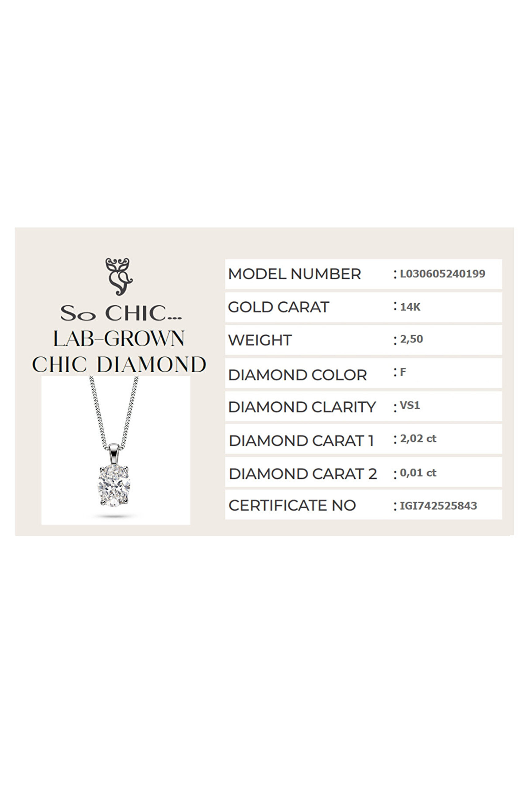 2.03 Karat IGI Sertifikalı 14K Beyaz Altın 43 Cm Oval Kesim Lab Grown Pırlanta Kolye - 4