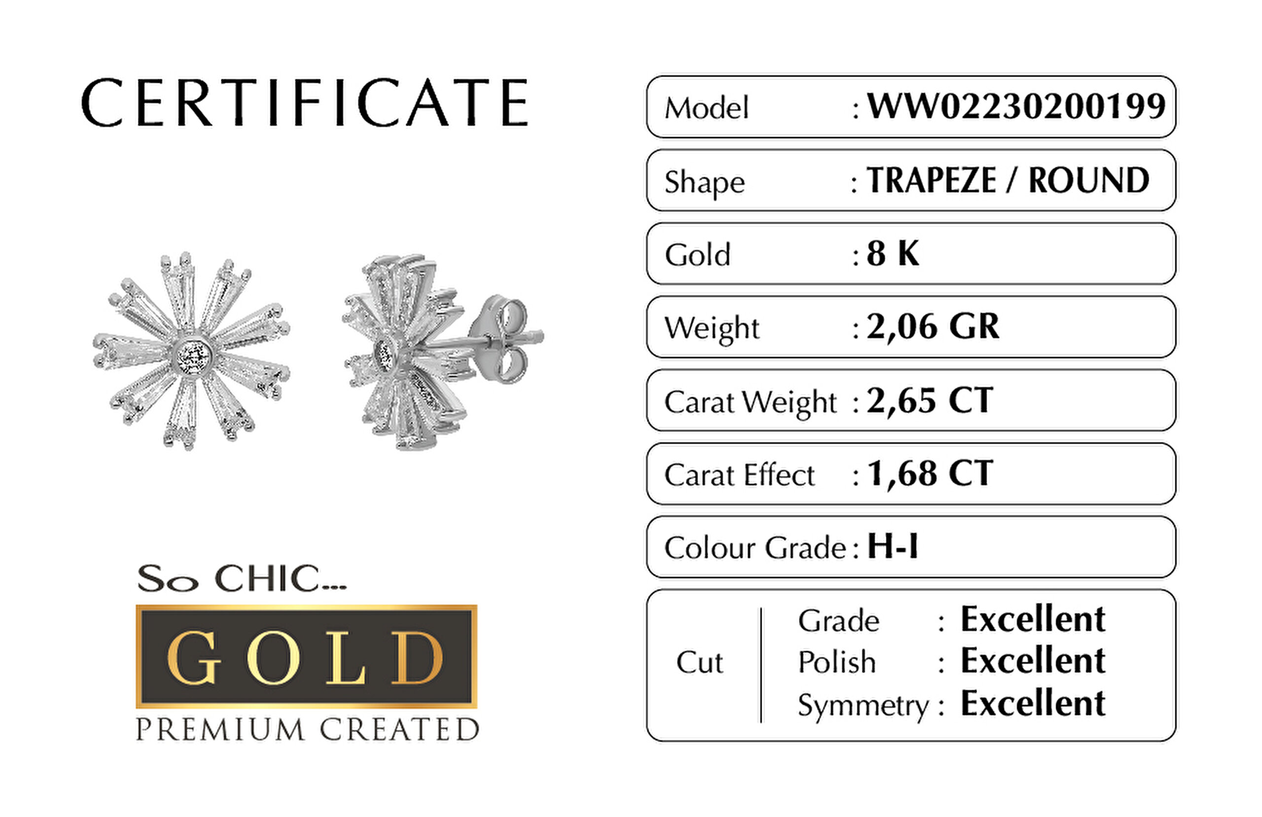 ⁠ Beyaz Altın Sertifikalı Premium Created Trapez Taşlı Küpe
_1}